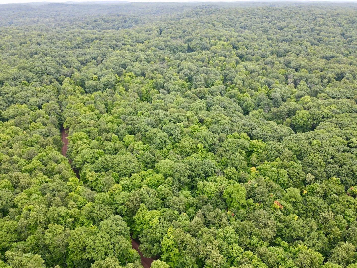 Vacant Land (10+ Acres) in Gleason - Gleason, Wisconsin, 54435