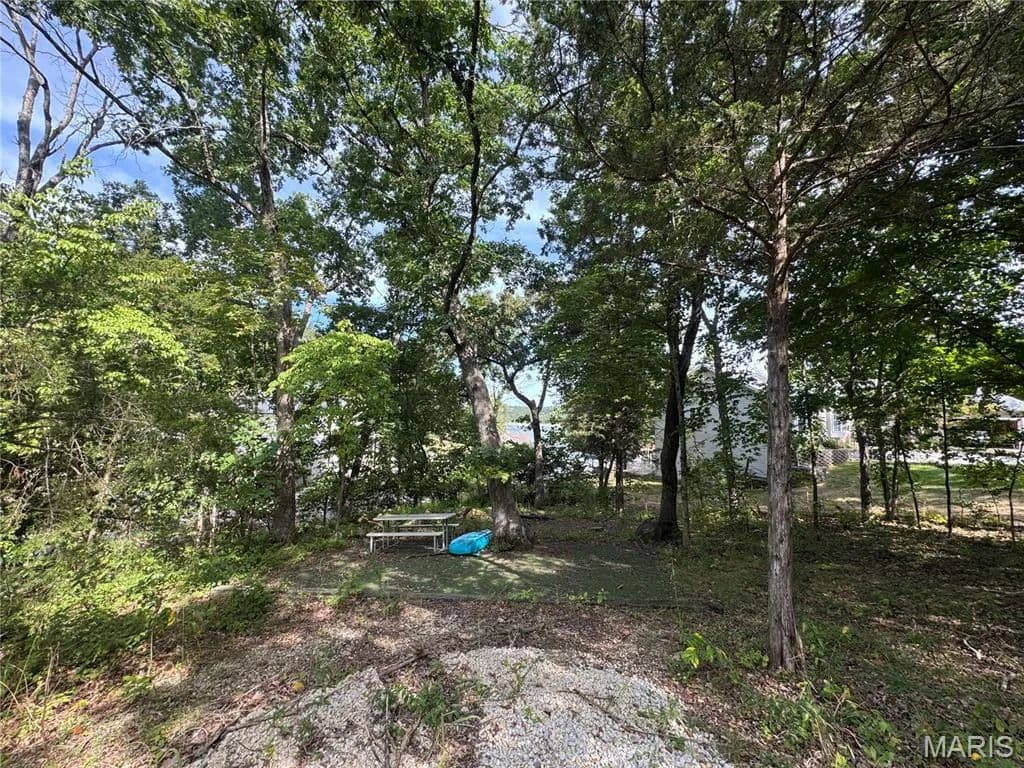 Vacant Land in Hillsboro - Hillsboro, Missouri, 63050
