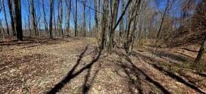 Lots & Land-Other in Summersville