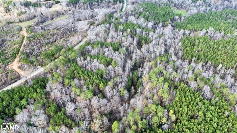Ararat Road Timber and Hunting Investment