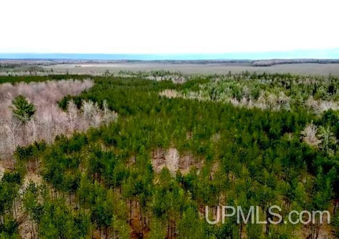 Vacant Land in Wetmore - Wetmore, Michigan, 49849