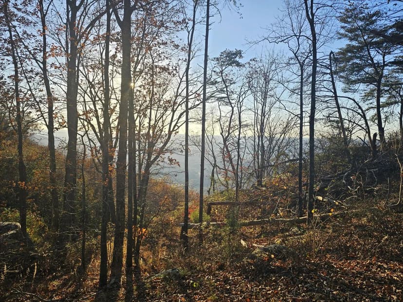 Property from 407 Brow Wood Lane - KW