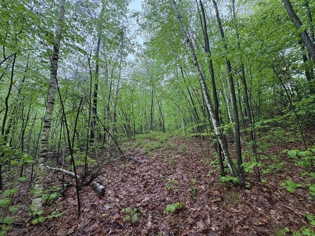 Lots & Land-Other in Deerfield - Deerfield, Massachusetts, 01342