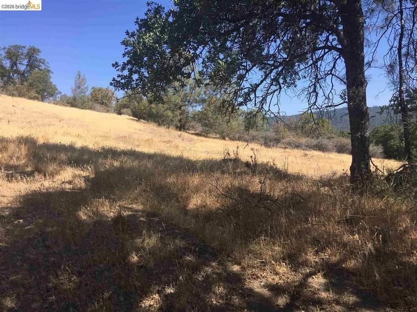 Lots & Land-Other in Sonora
