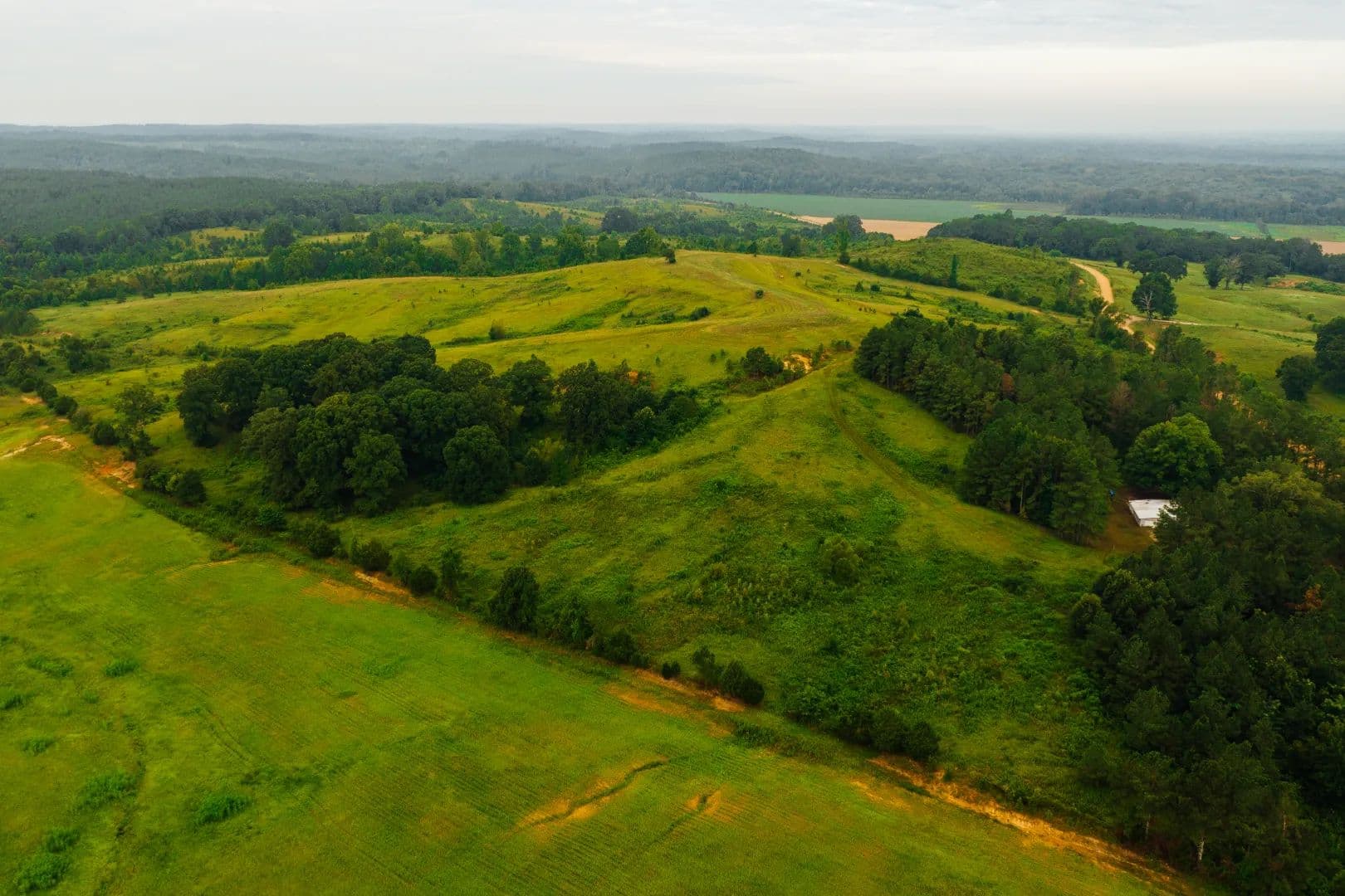 722 Acre Farm in Calhoun County, MS  - Big Creek, Mississippi, 38914