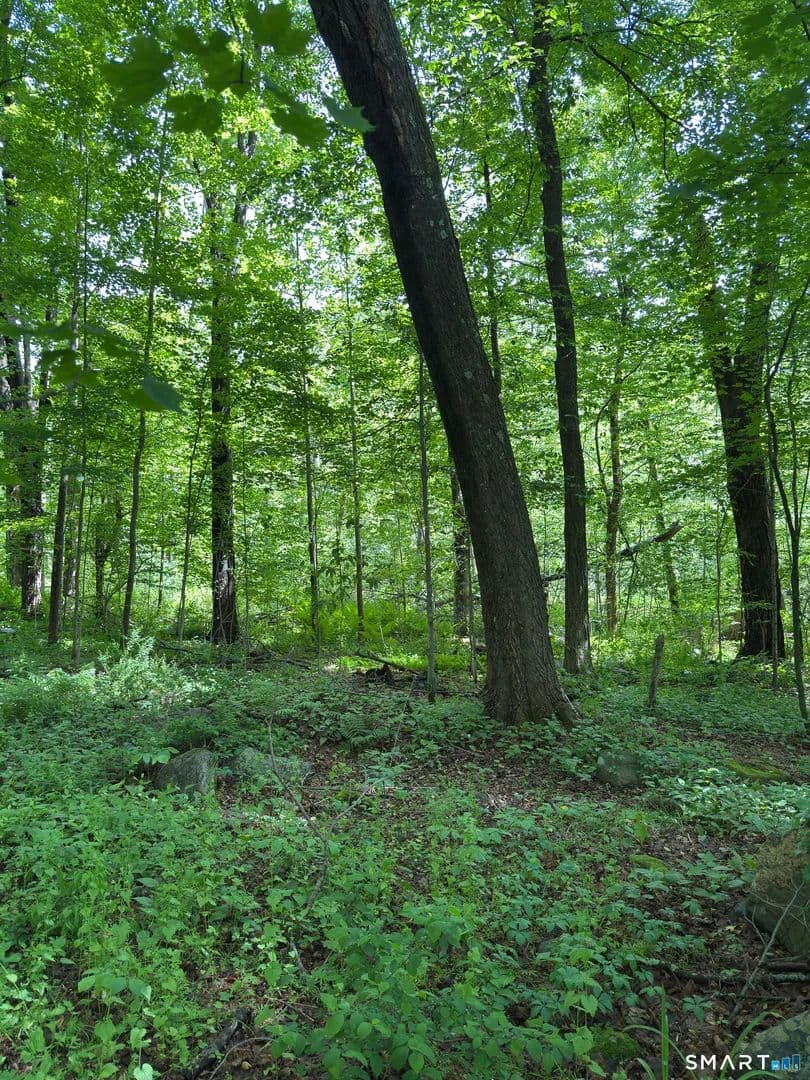 Vacant Land in Winchester - Winchester, Connecticut, 06098
