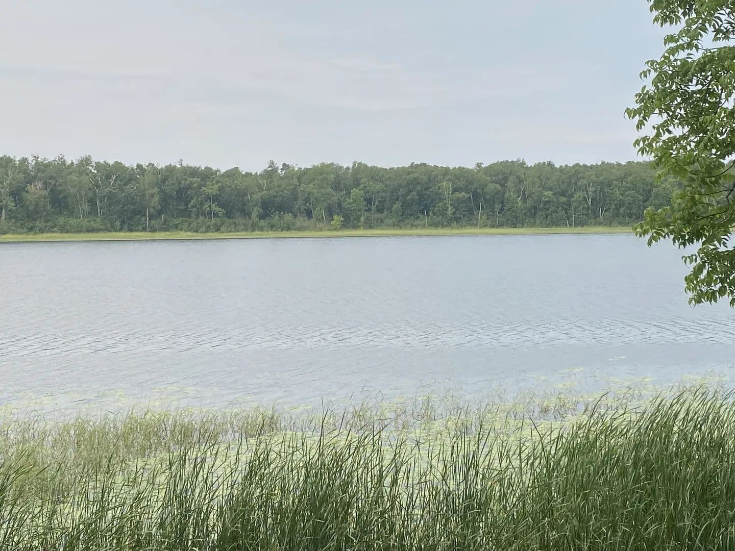 Land -Single Family Acreage in Cass Lake - Cass Lake, Minnesota, 56633
