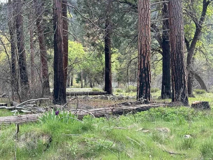 Vacant Land in Taylorsville
