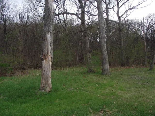 Property from lot 012 Tuscola Avenue - KW - , Illinois, 60174