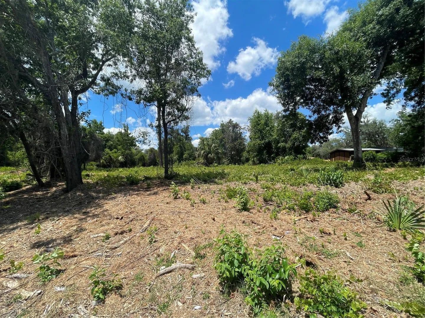 0.37 Acres of Land for Sale in Umatilla, Florida - Umatilla, Florida, 32784