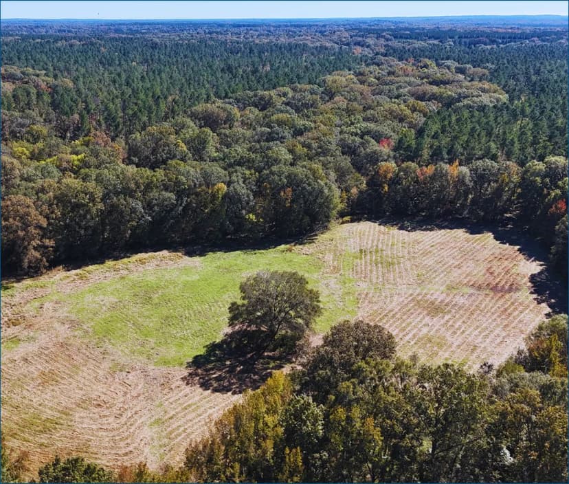 984 Acres in Claiborne County in Port Gibson, MS