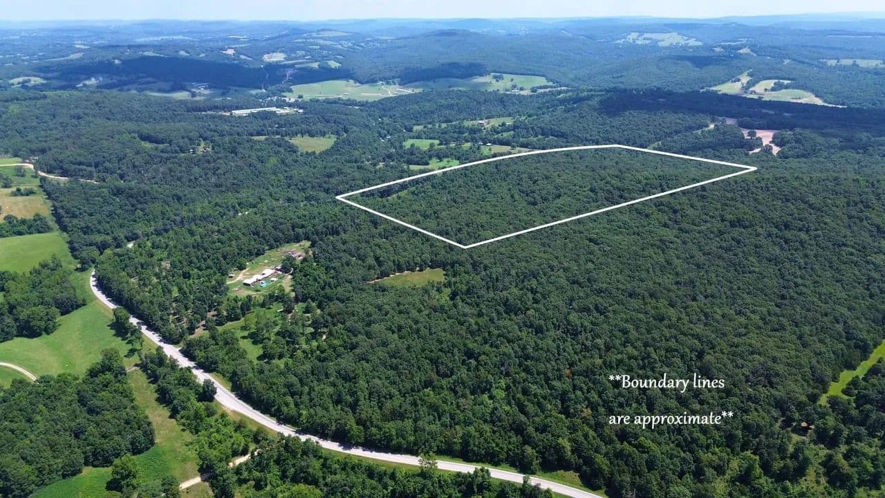 78 Acres Hwy 21 - land for sale