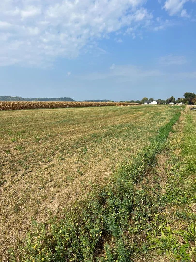 Property from 1510 River Drive S - KW