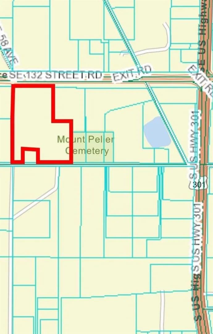 17.23 Acres of Land for Sale in SUMMERFIELD, FL - Summerfield, Florida, 34491