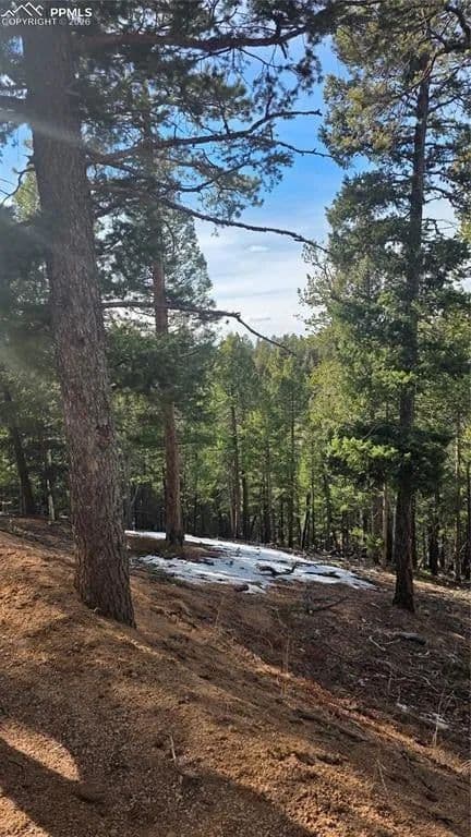 Lots & Land-Other in Woodland Park - Woodland Park, Colorado, 80863