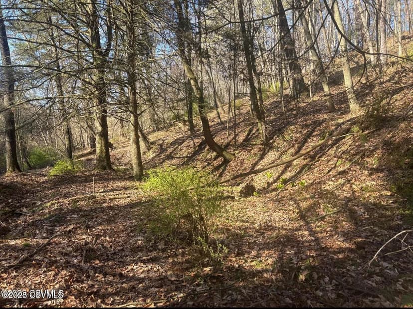 Lots & Land-Other in Bloomsburg