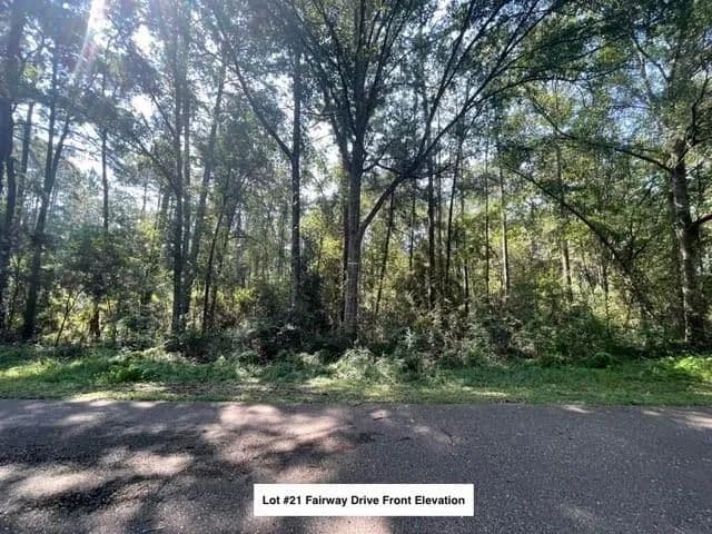 Vacant Land in Abita Springs - Abita Springs, Louisiana, 70420