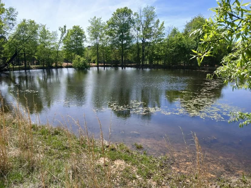 158± Acre Multi-Use Ranch & Hunting Property Near Antlers, OK