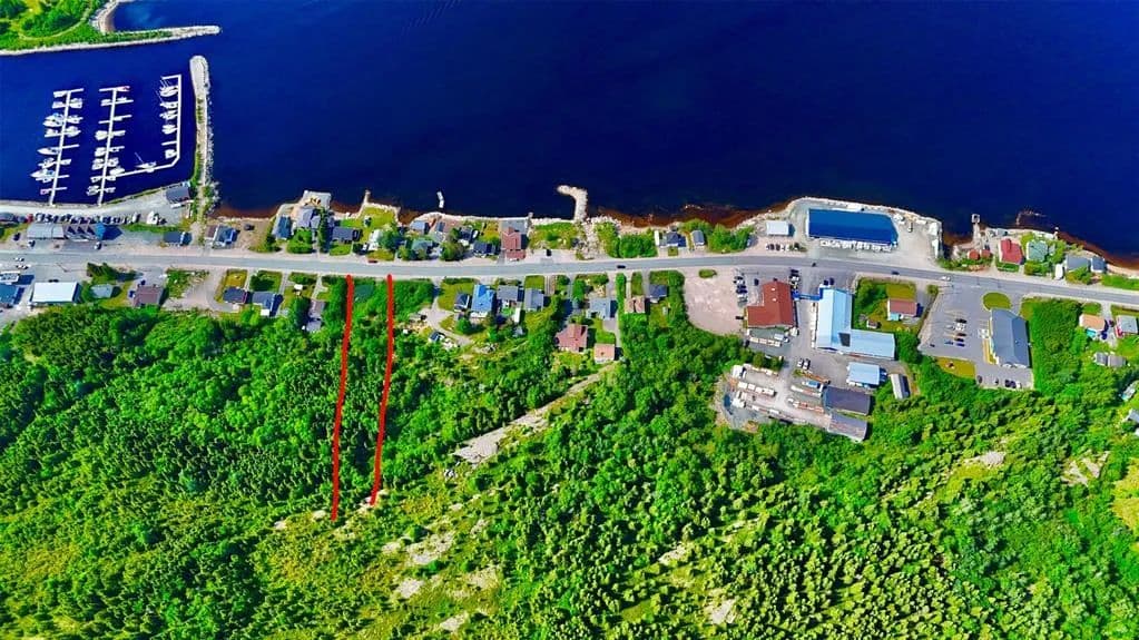 Land for Sale in Glovertown, NL - land for sale