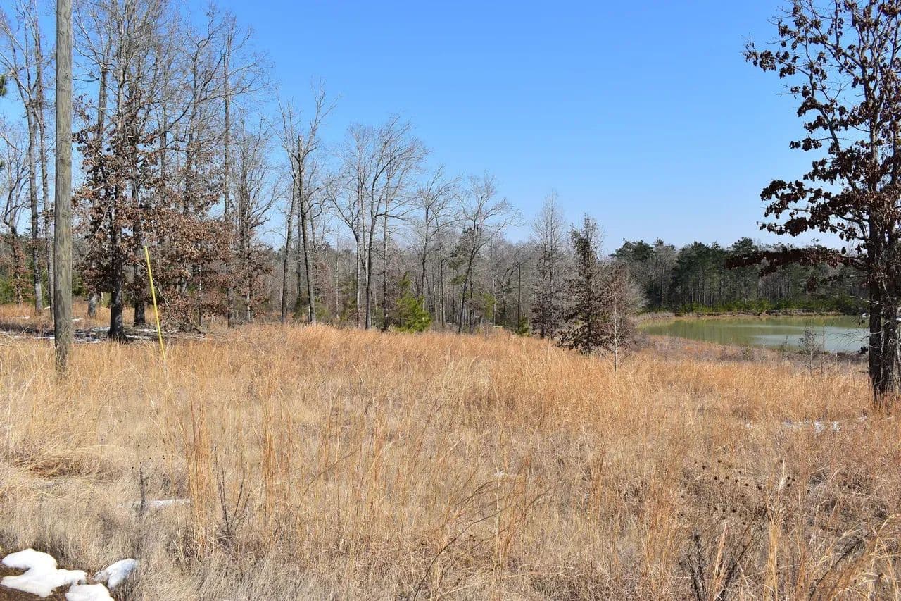 New Mineral Springs Addition North - Calhoun, Louisiana, 71225