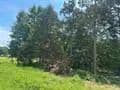 Land -Agricultural (Not Zoned) in Hartman - Hartman, Arkansas, 72832