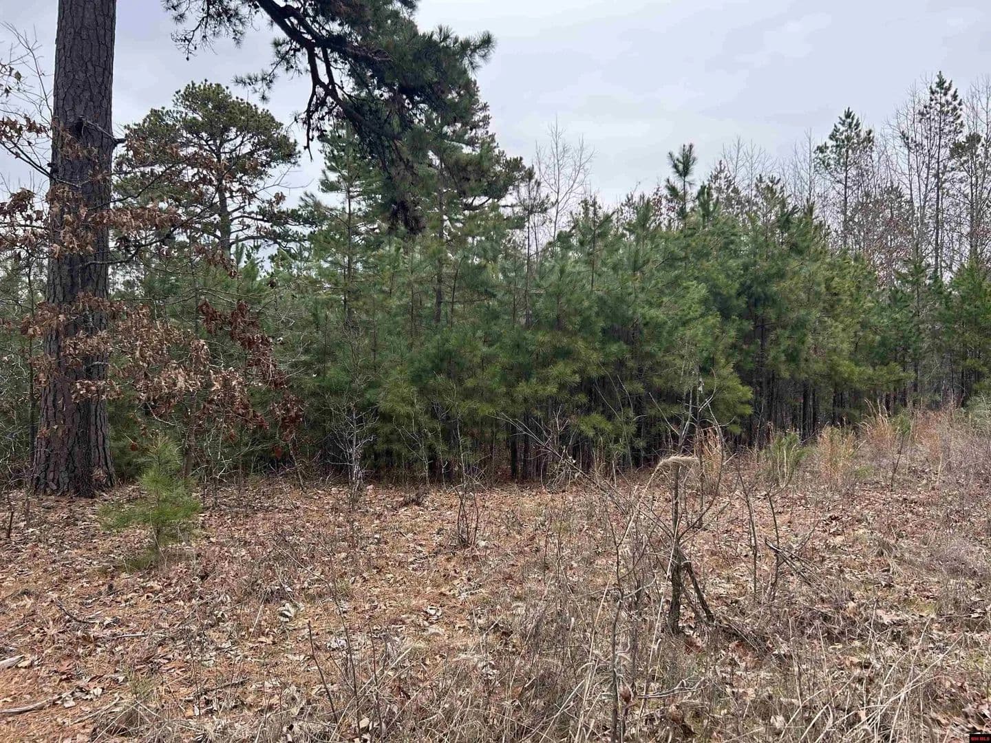 Lots & Land-Other in Harriet - Harriet, Arkansas, 72639