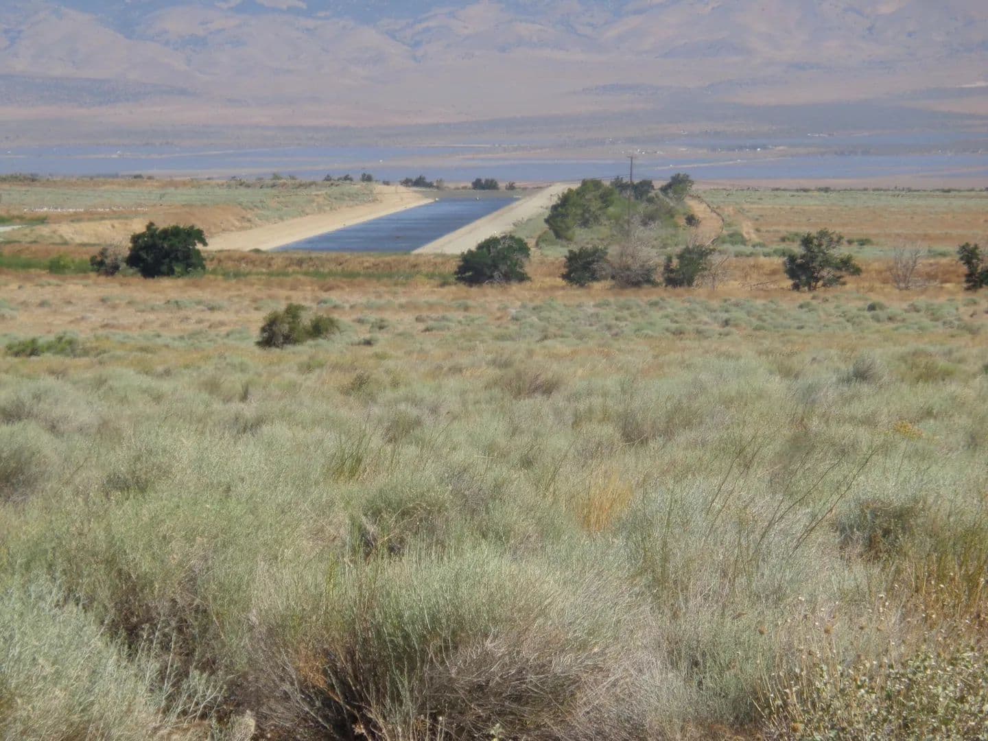 Lots & Land-Other in Del Sur - land for sale