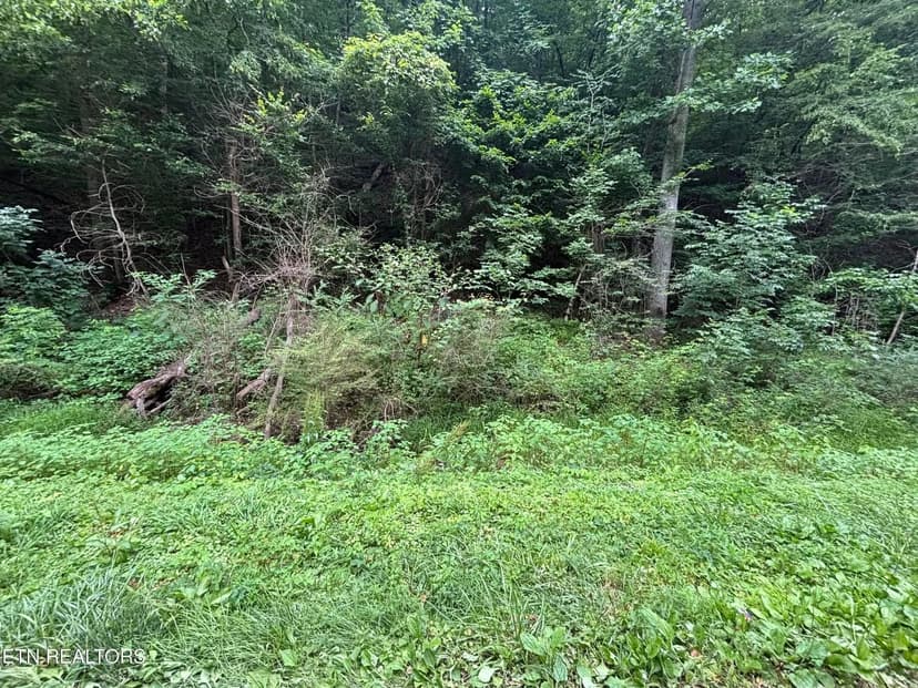 Lots & Land-Other in Harriman