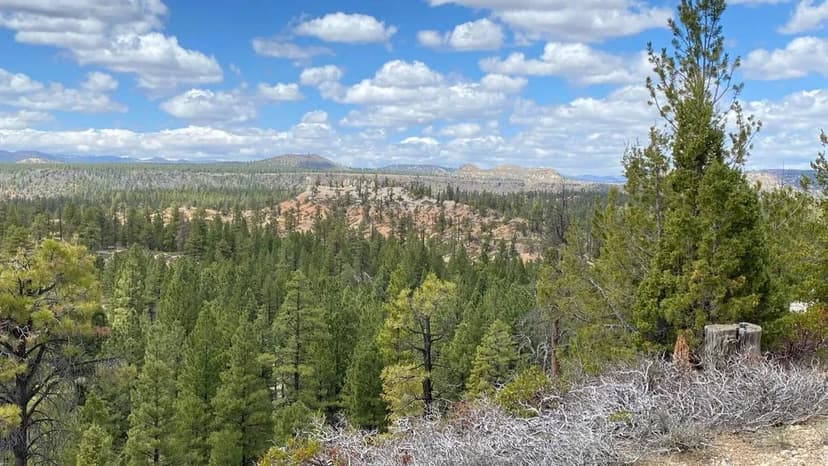 Lots & Land-Other in Duck Creek Village