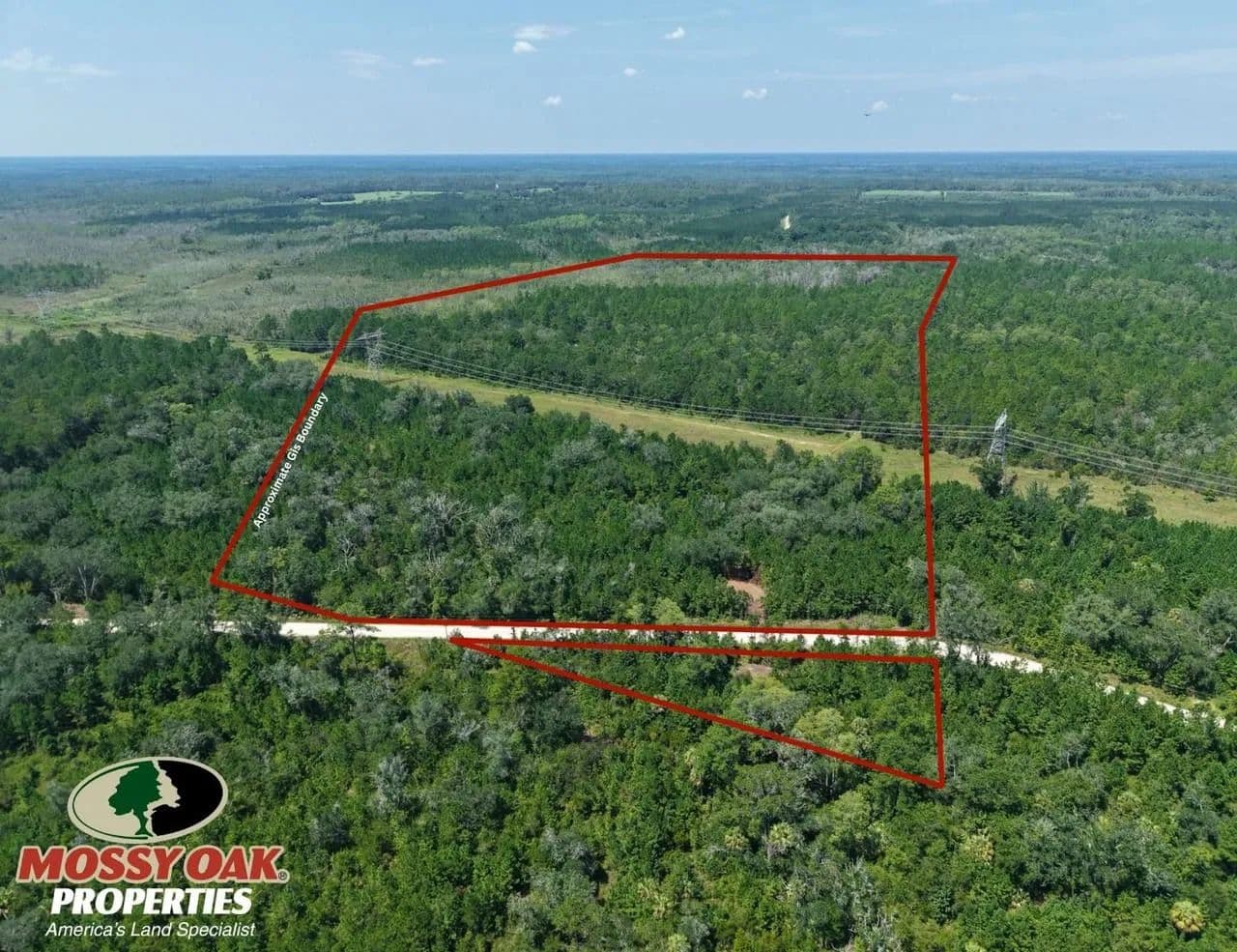 58.48 +/- Ac Land for Sale in Camden County, GA - White Oak, Georgia, 31568