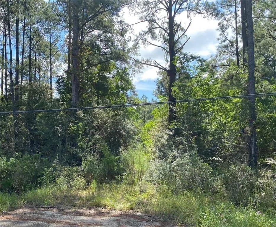 Vacant Land in Lacombe - Lacombe, Louisiana, 70445