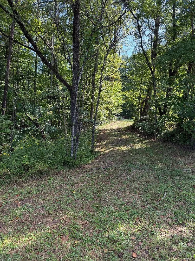 Vacant Land (10+ Acres) in Gladstone - Gladstone, Virginia, 24593
