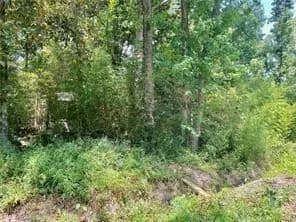 Vacant Land in Mandeville - Mandeville, Louisiana, 70448