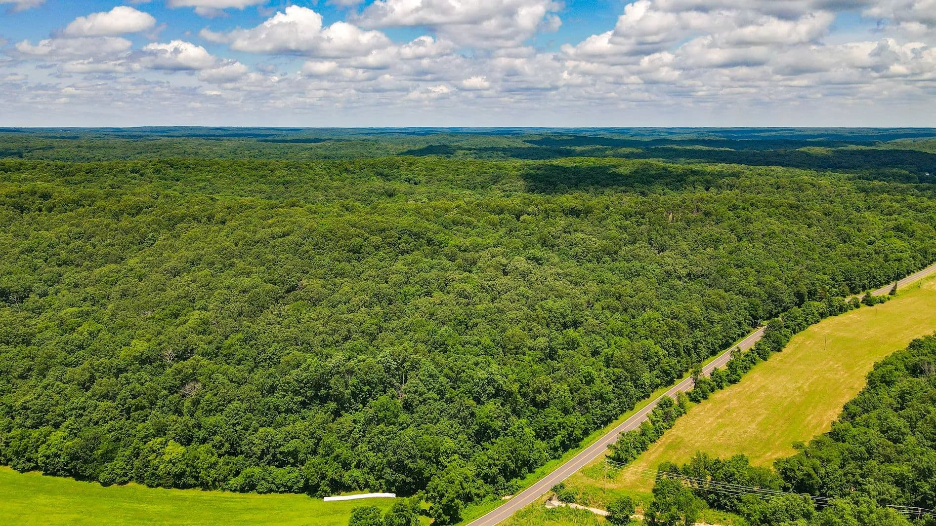 46.53± Surveyed Acres w/Hunting & Recreation Near Lake of the Ozarks – Morgan County - Versailles, Missouri, 65084