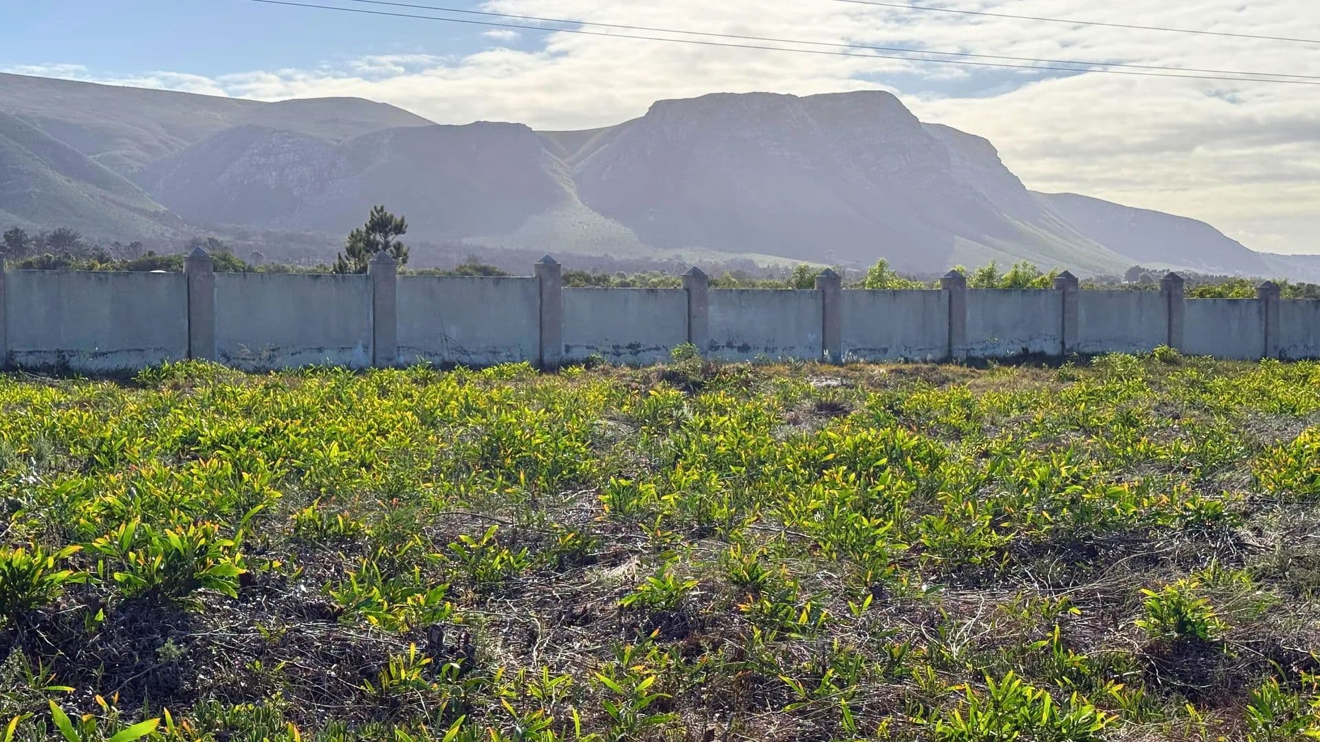 740 Acres of Land for Sale in Gansbaai, Western Cape - South Africa