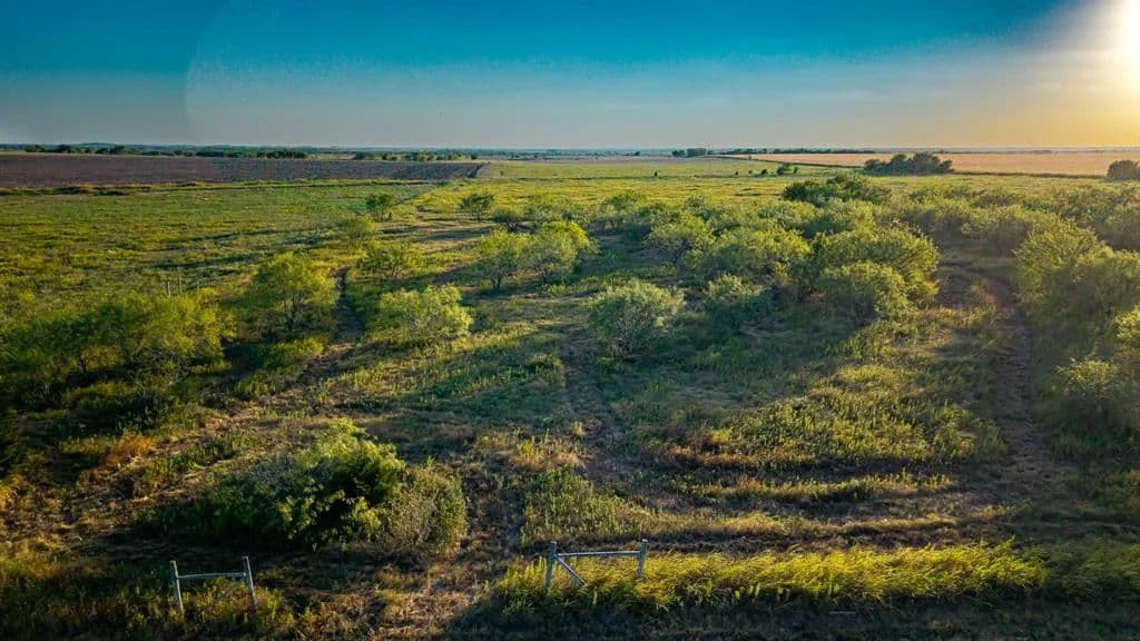 Vacant Land in Avalon - Avalon, Texas, 76623