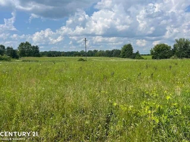 Lots & Land-Other in Almont