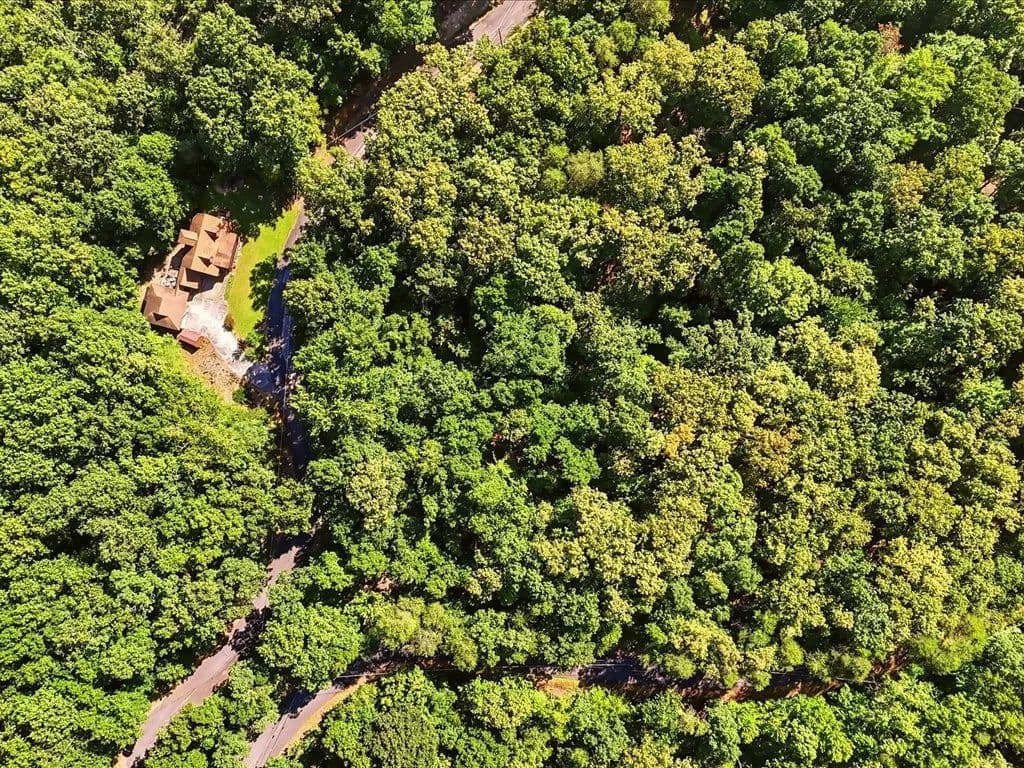 Wooded Cherokee Lake Access Lot - Mooresburg, Tennessee, 37811