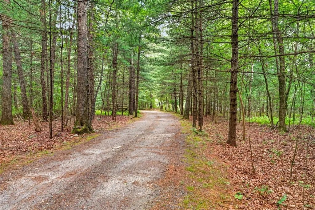 19.9 Acres of Land for Sale in Berkley, MA - Berkley, Massachusetts, 02779
