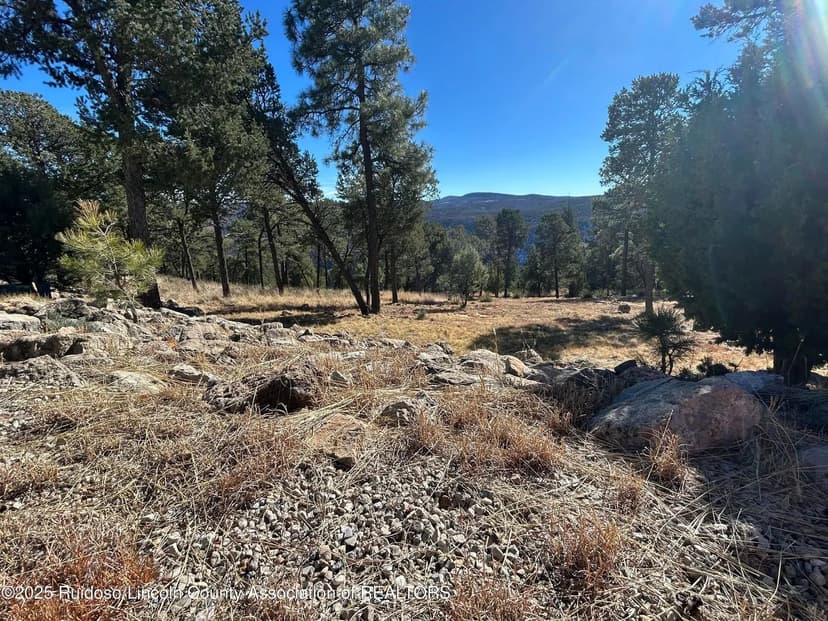 Lots & Land-Other in Ruidoso
