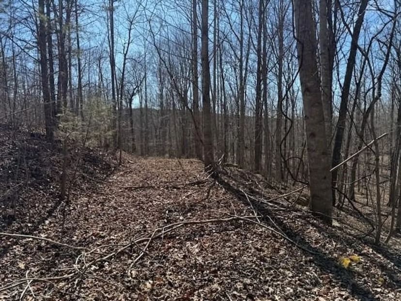 Beautiful 5.00+/-acre wooded tract atop South Pittsburg Mountain.
