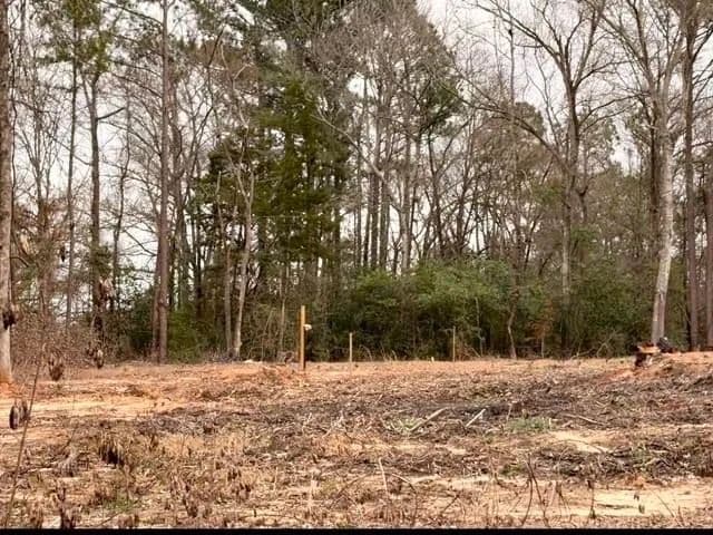 Vacant Land in Overton - Overton, Texas, 75684