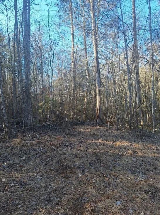 Lots & Land-Other in Blue Ridge - Blue Ridge, Georgia, 30513
