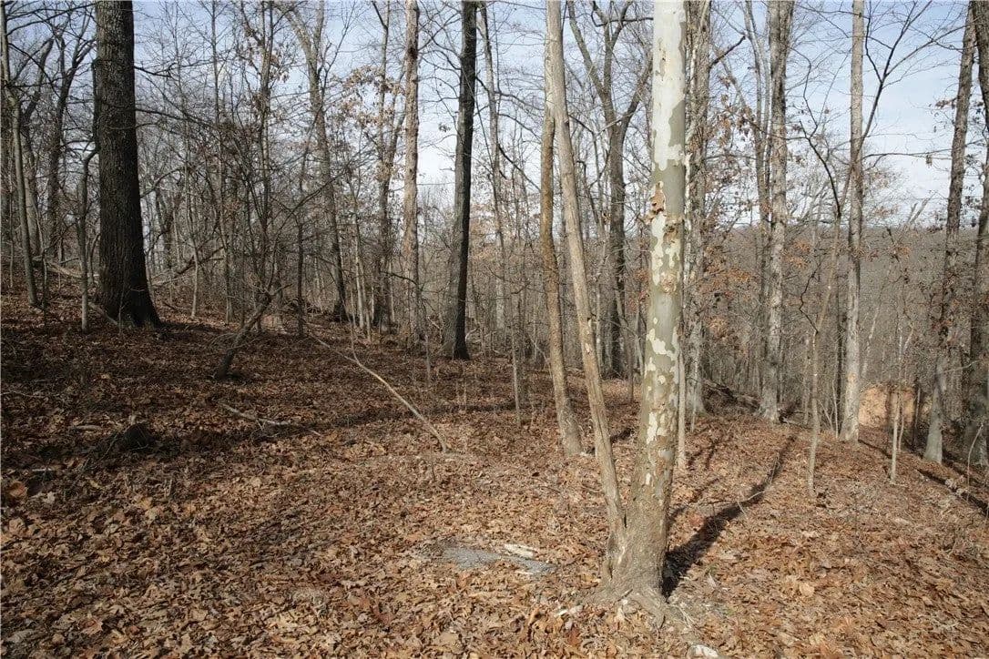 Lots & Land-Other in Bella Vista - Bella Vista, Arkansas, 72715