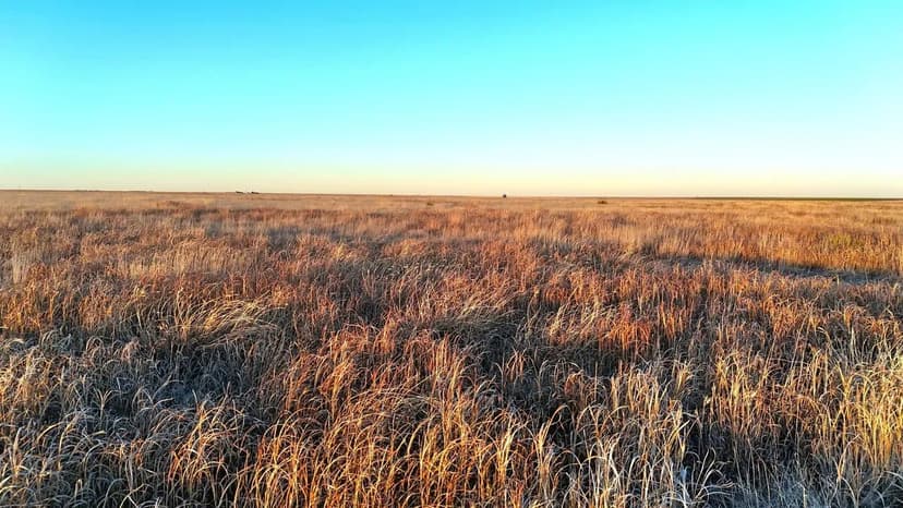 CRP Investment & Recreational Opportunity