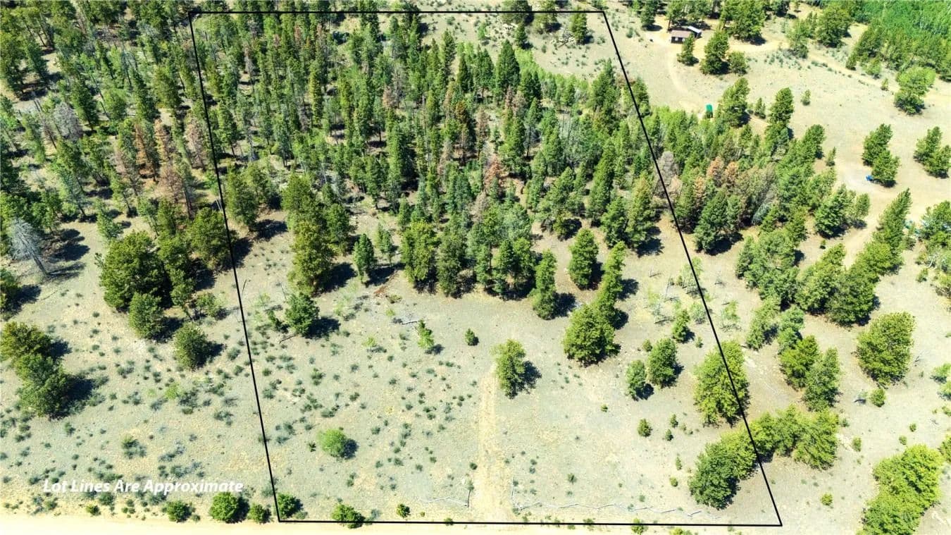 1036 Pulver ROAD - Lake George, Colorado, 80827