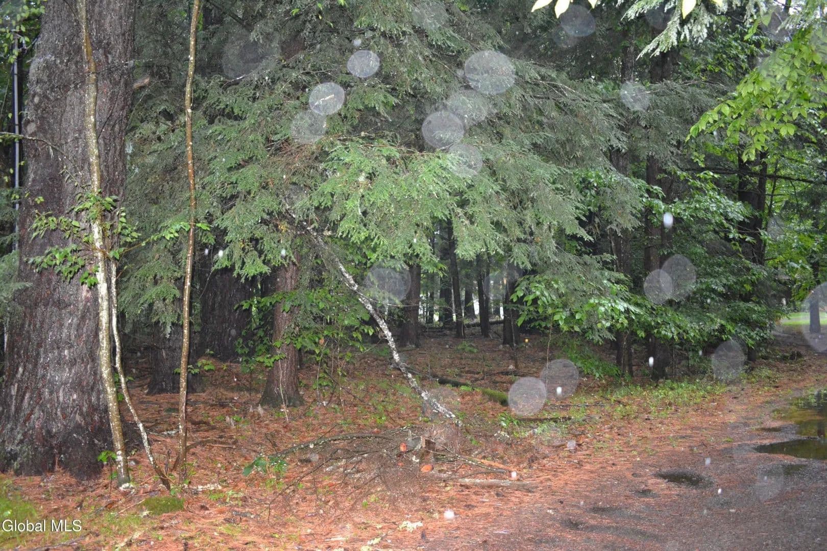 Land -Single Family Acreage in Lake Luzerne - Lake Luzerne, New York, 12846