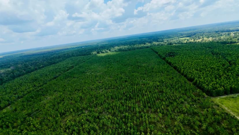 Property from TBD sw cr 141 Highway - KW