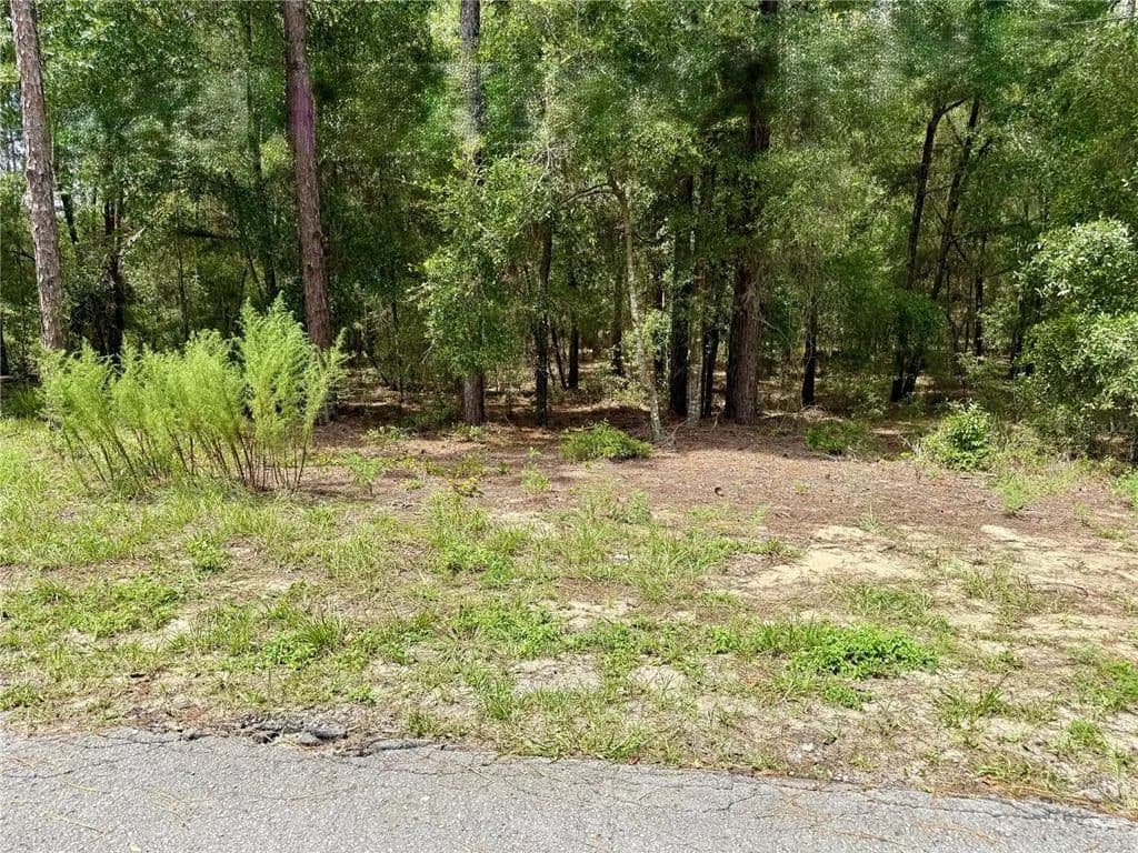Vacant Land in Dunnellon - Dunnellon, Florida, 34431