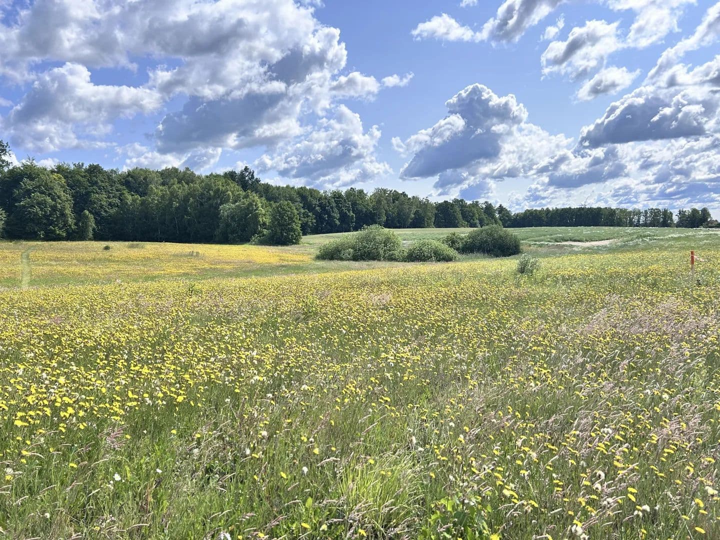 Działka rekreacyjna przy jeziorze - land for sale